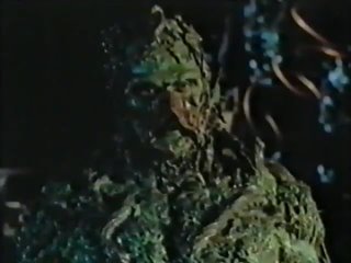 swamp thing 2 the return of swamp thing (1989) vhsrip translated by avo